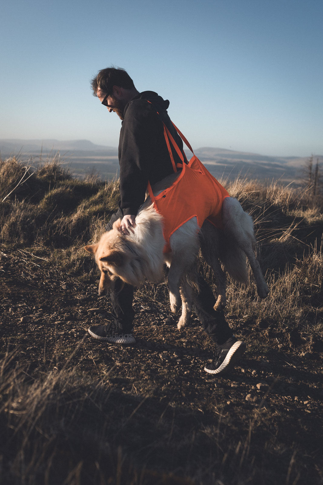 Dog rescue sling (9)