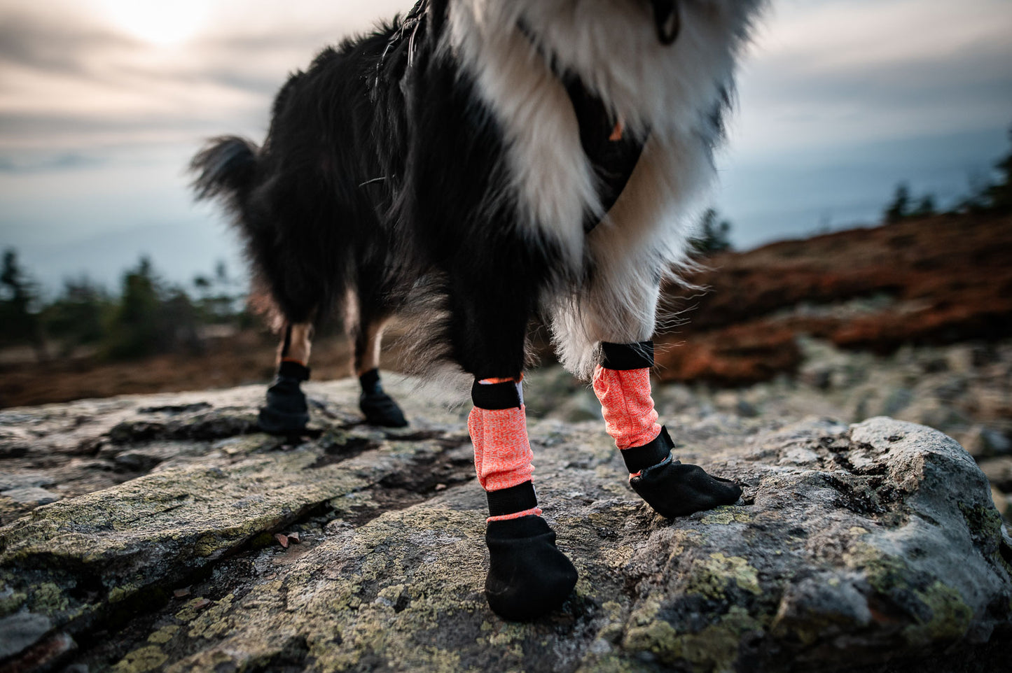 Protector bootie high (3)