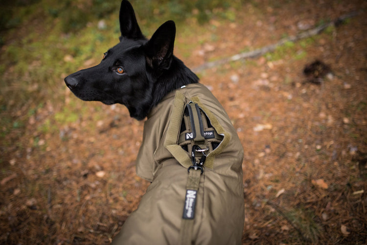 K9 Jackets