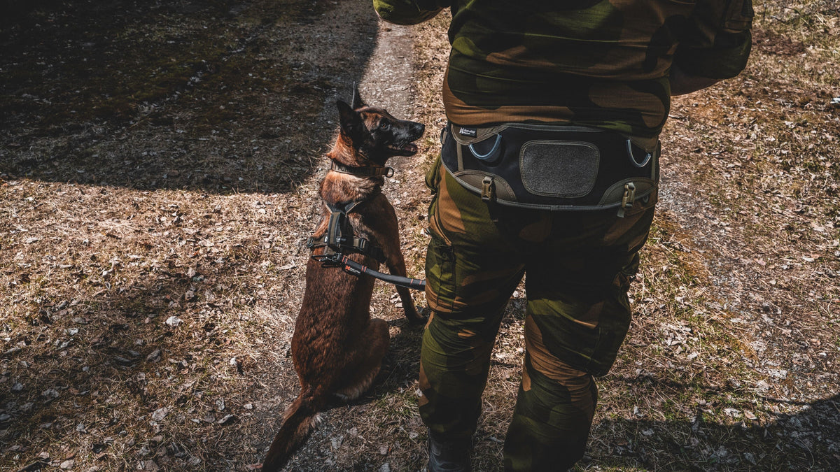 Hands-free belts for working dog handlers | K9 belts – Non-stop ...