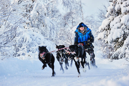 Arctic votta (6)