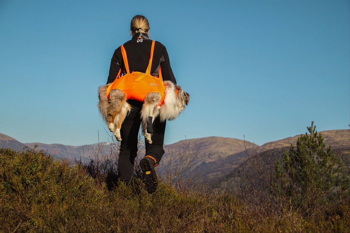 Dog rescue sling (1)