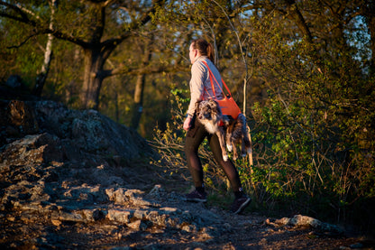Dog rescue sling (6)