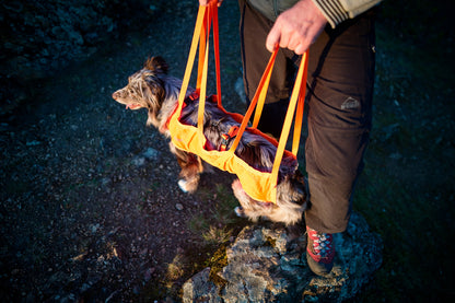 Dog rescue sling (7)