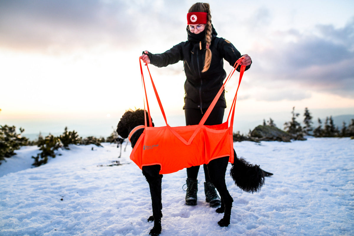 Dog rescue sling (4)