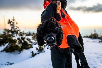 Dog rescue sling (3)