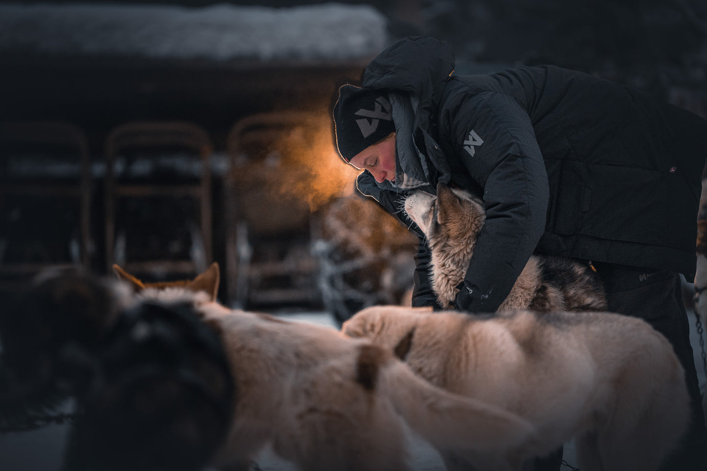 Arctic jakka 3.0 (4)