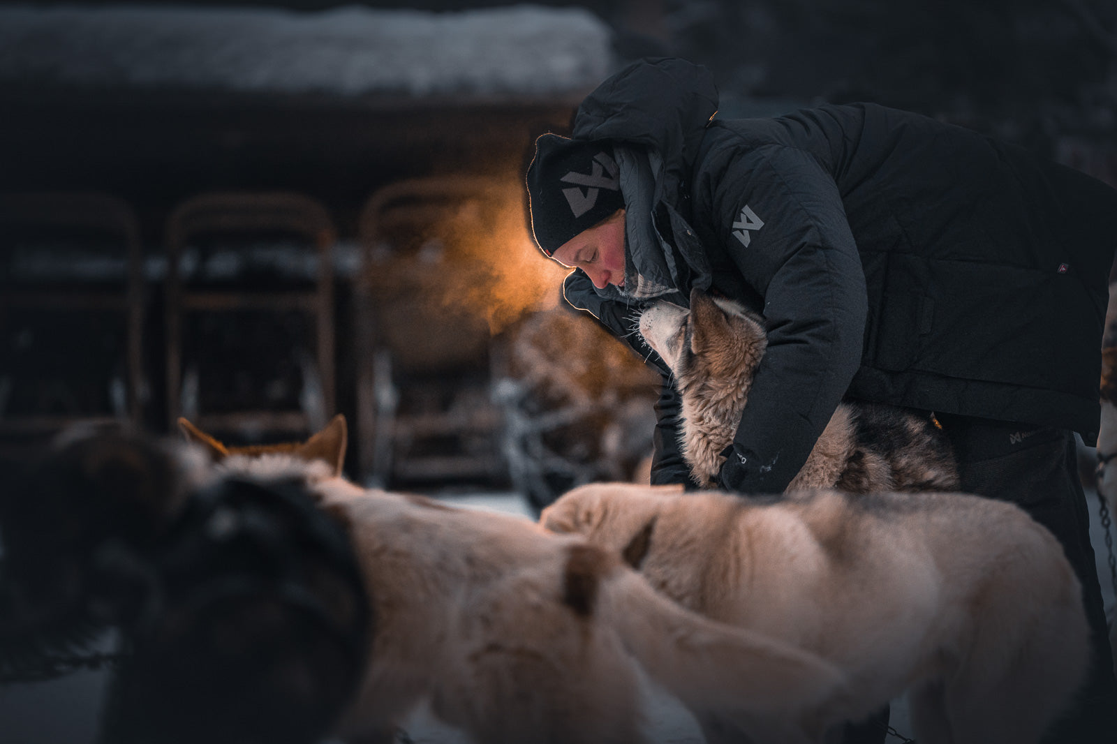 Arctic jakka 3.0 (4)