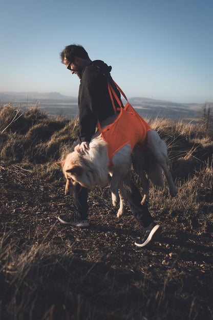 Dog rescue sling (9)
