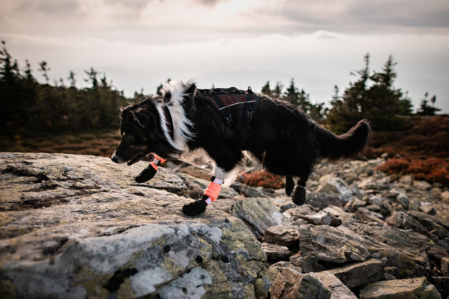 Protector bootie high (2)