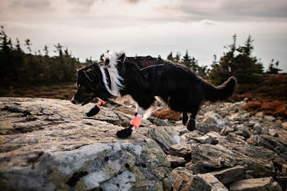 Protector bootie high (2)