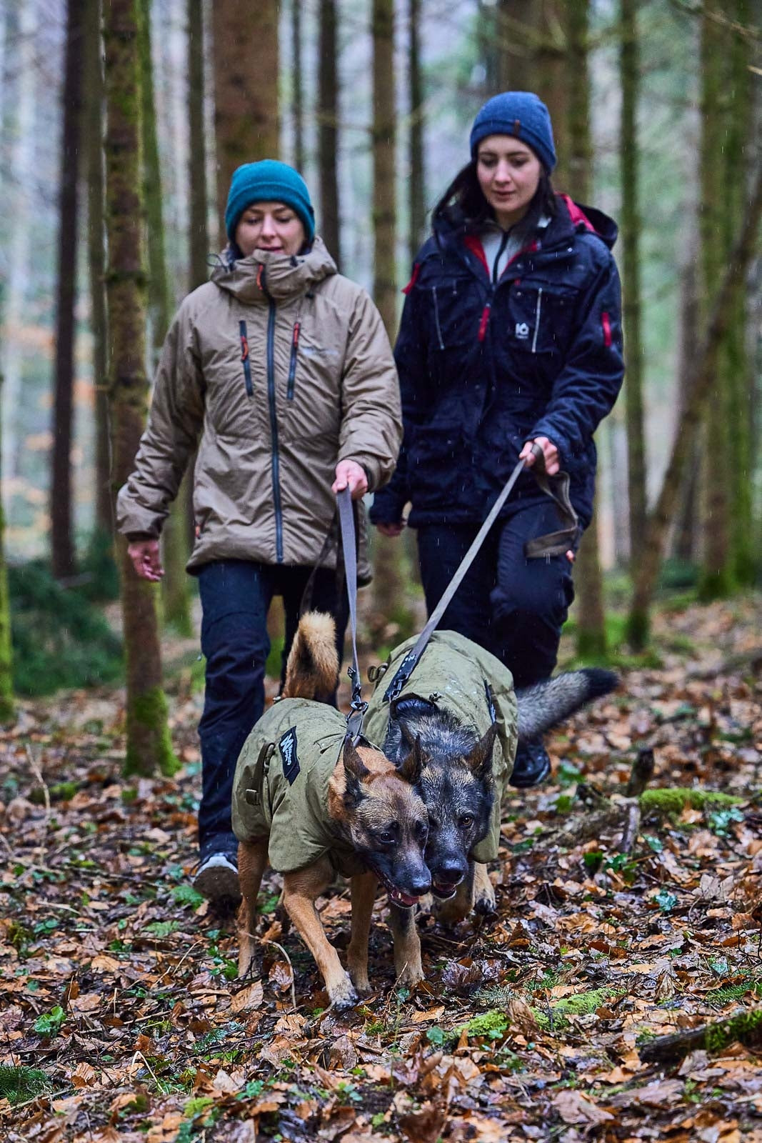 Solid leash WD (3)