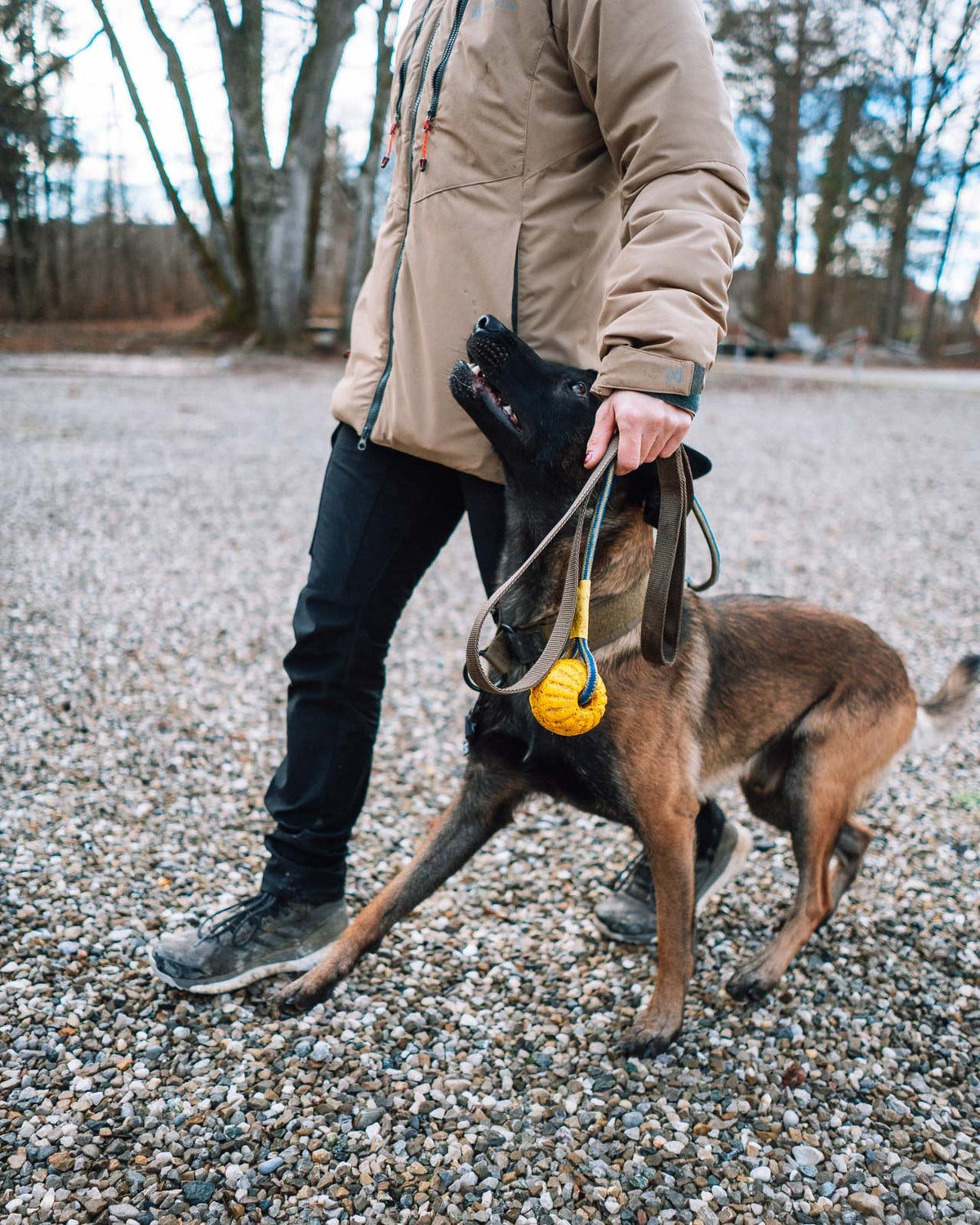 Solid leash WD (2)