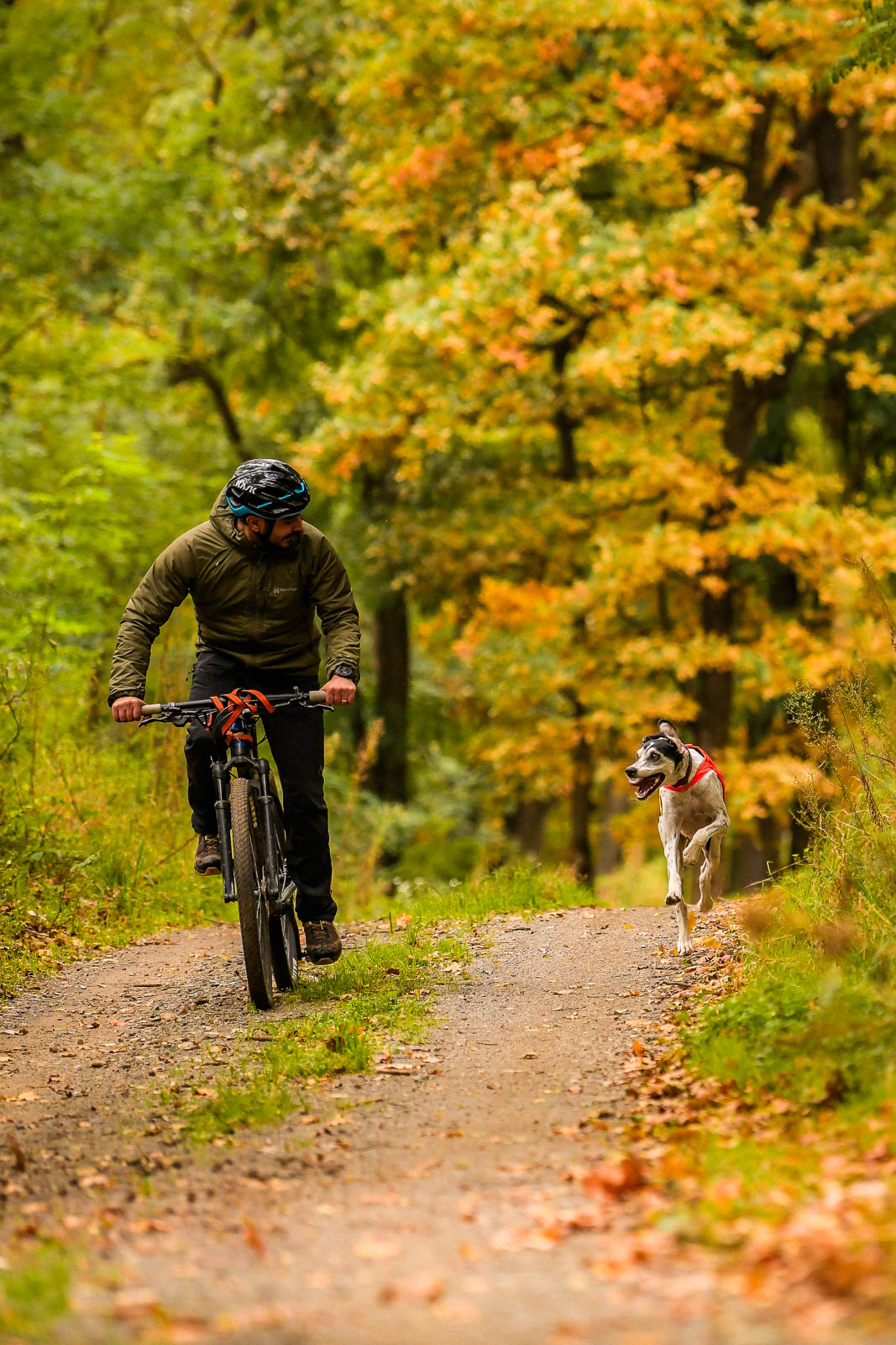 Trail isolator jacket 2.0 men's (3)