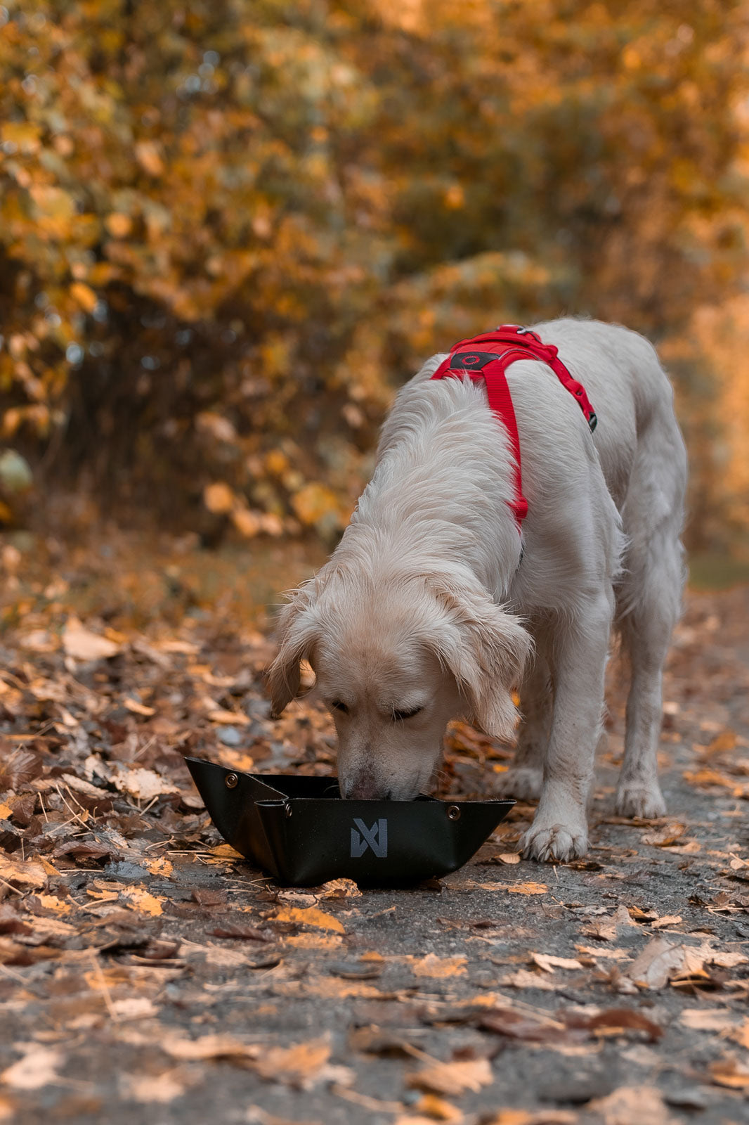 Trekking bowl (7)