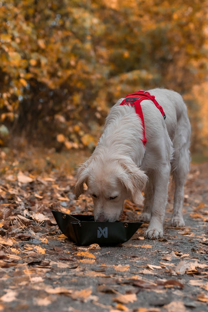 Trekking bowl (7)